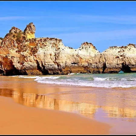 Apartment Ocean Coast *