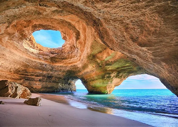 Ocean Coast ポルティマン