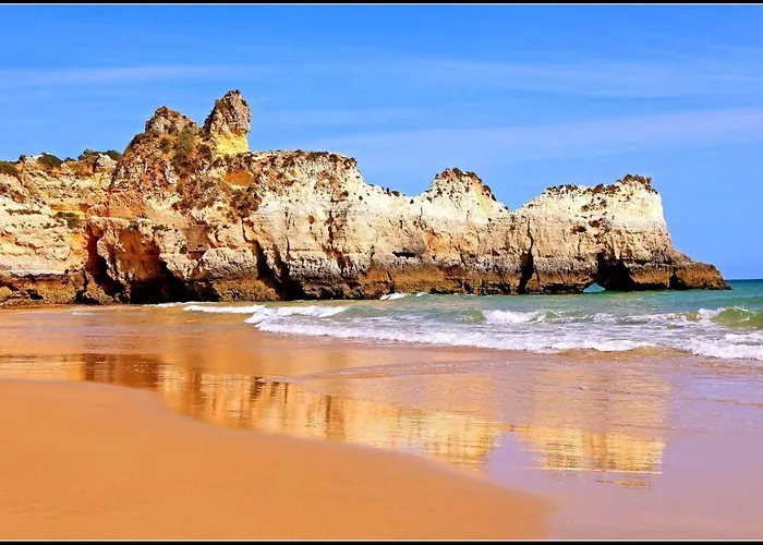 Apartment Ocean Coast *
